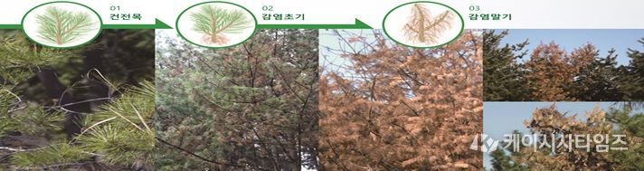 감염경로 및 증상