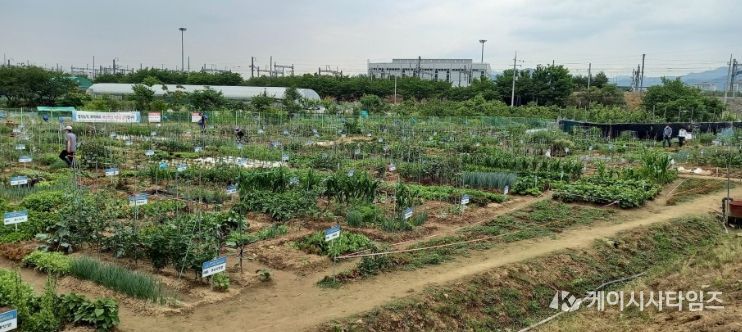 수성구 공영도시농업농장 전경