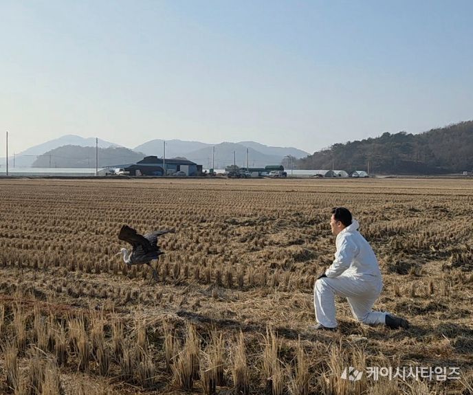 순천만 흑두루미 9마리 위치추적기 부착 성공
