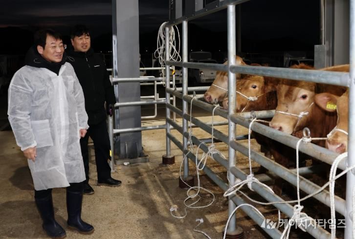 설 명절을 앞두고 강진 가축시장을 방문해 한우 농가를 격려하고 의견을 청취하고 있다.