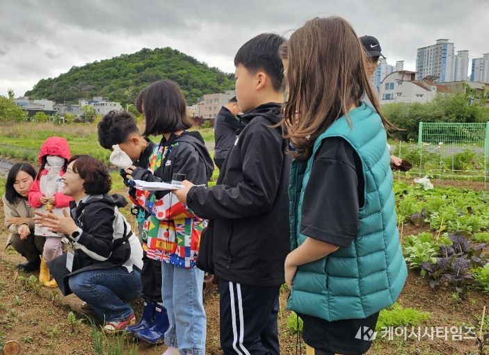 치유형 가족사랑 도시텃밭 체험 참여가족 모