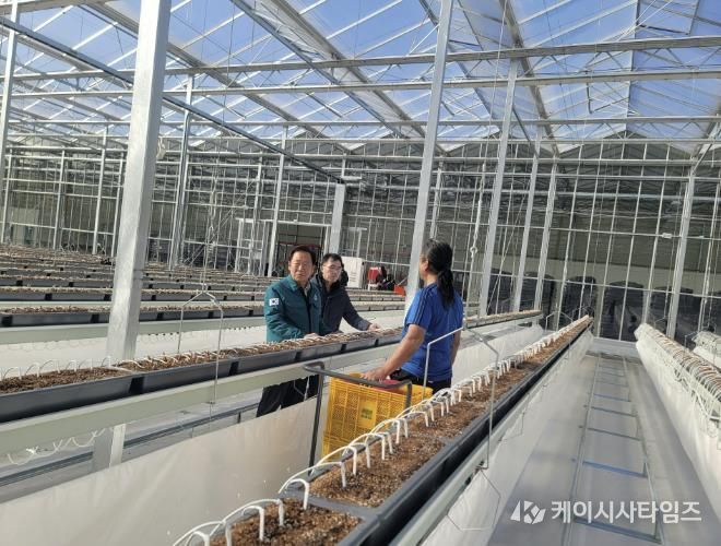 봉화군, 임대형 스마트팜단지 A동 2구역 쪽파 파종 들어가