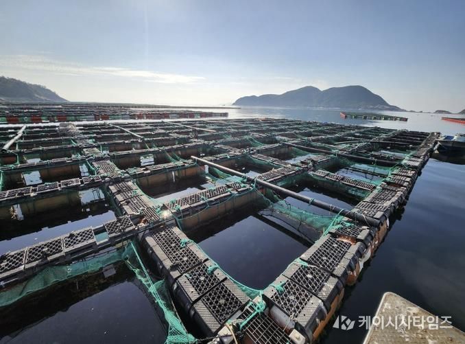 전복 양식장 일원