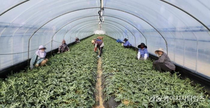 청주시, 2026년 상반기 외국인 계절근로자 421명 도입