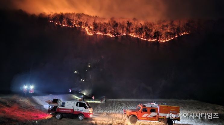 예산군 대술면 산불