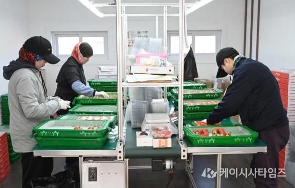 홍성 딸기, 2026년 시작과 동시에 ‘충남 수출 1위’ 달성
