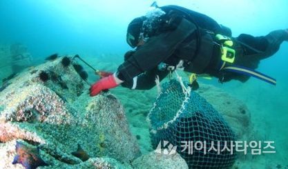 , 임원해역 생태환경 복원‘바다숲 조성사업’추
