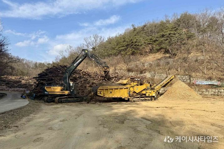 산불피해 벌채산물 처리