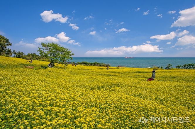 대왕암공원 해안둘레길