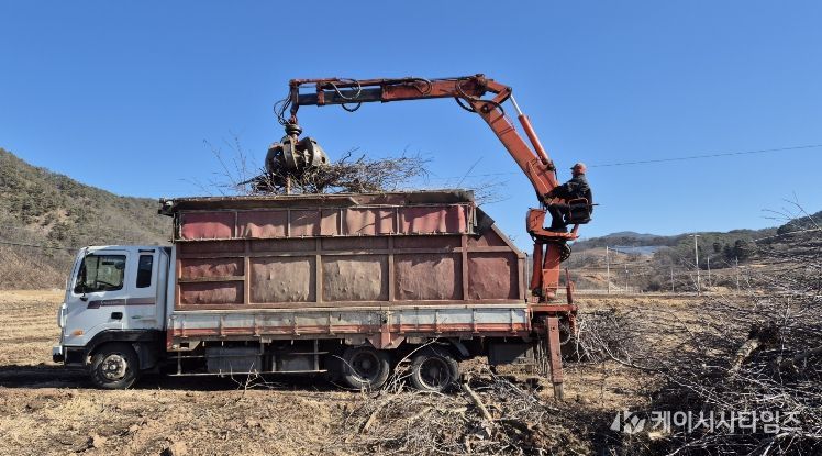 영양군 과수 전정목, 무료 수거 처리합니다.