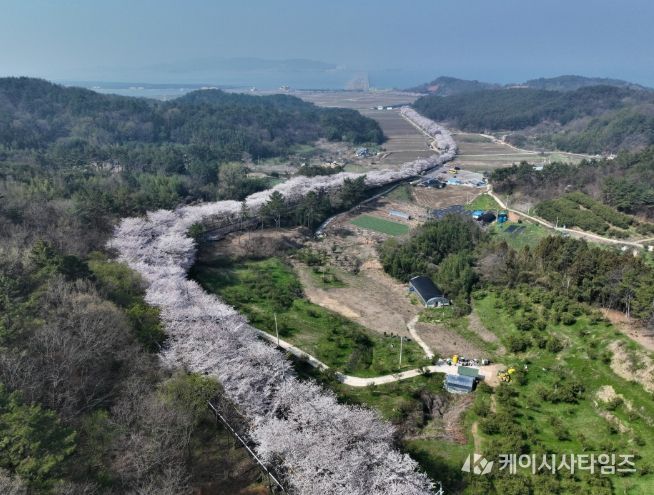3월, 봄바람 따라 떠나는 고흥 여행