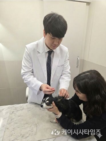 봄철 반려견 광견병 예방접종