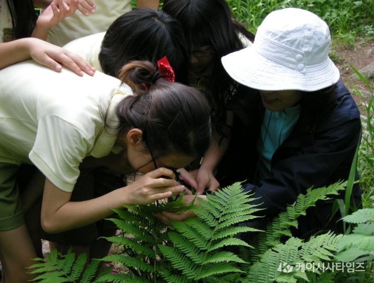 국립횡성숲체원-원주진로지원센터 연계, 진로·환경교육 캠프