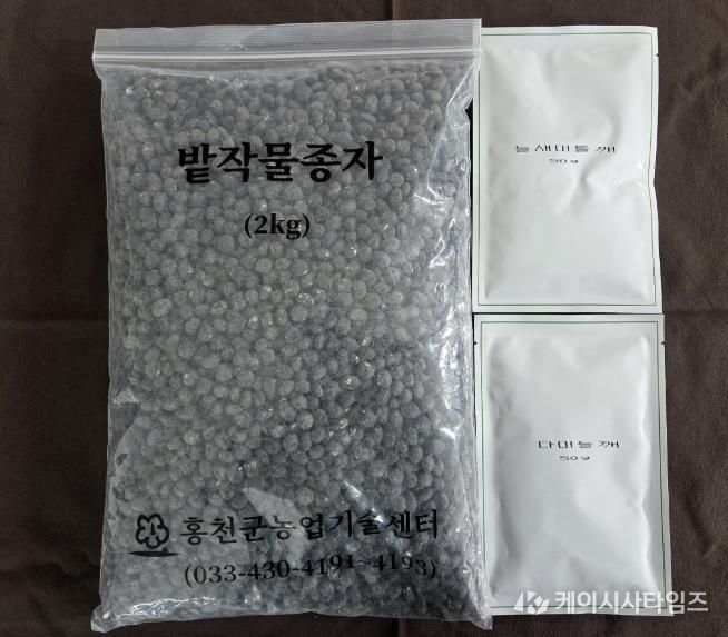 홍천군, 씨감자 안정 공급 및 자체 채종 밭작물(들깨, 재래 서리태) 종자 보급