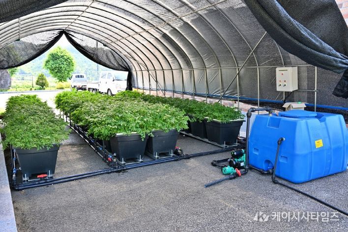 작은 공간이 농장으로…‘모듈형 수경재배장치’ 특허 등록
