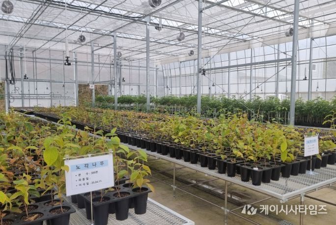 ‘디지털 기반 산림자원 원물 양성화’ 공모사업