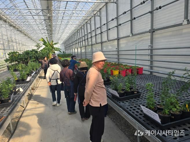 인제군 국화분재연구회, 품종별 연구·교류로 전문성 다진다