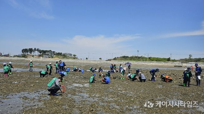 지난해 간월도 일원에서 바지락 캐기 체험을 즐기는 참여자 모습