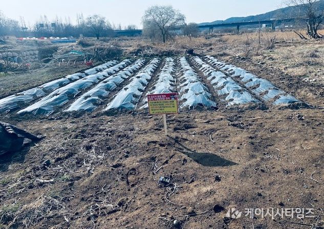 대구 북구, 금호강 불법행위 행정대집행 실시