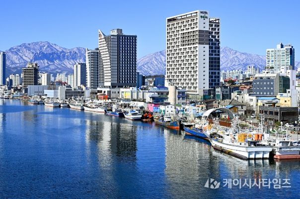 어선 현대화 관련 속초시 관내 항구 전경