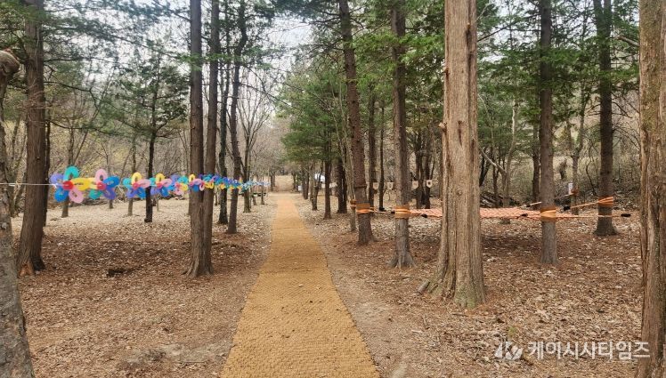 충북도, 자연학습원 ‘숲생태정원’ 본격 개방