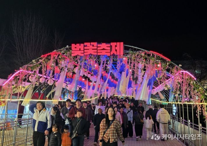 안동 벚꽃축제 성황 속 개막