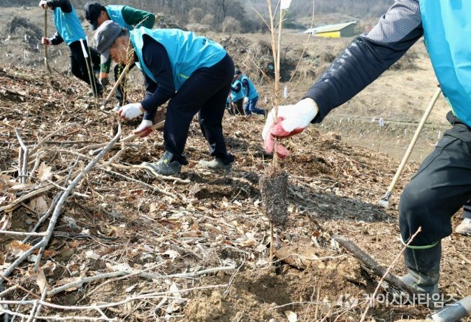 괴산군 제81회 식목일 기념 나무심기 행사