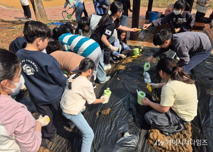 하남 하남풍산초, 흙에서 배우는 생명 교육…감자 심기 체험으로 교과 학습 확장