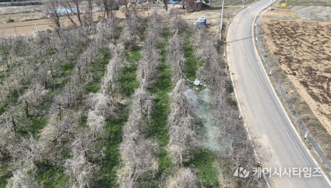 과수화상병 드론방제 사진