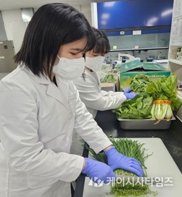 봄철 농산물 안전성‘양호’, 보건환경연구원 검사 결과 99.1% 적합