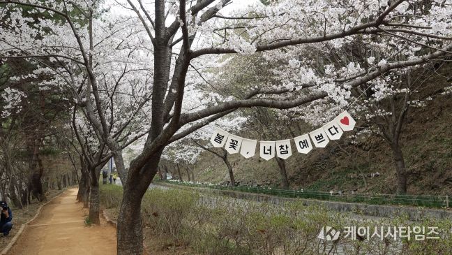 작년 축제 사진