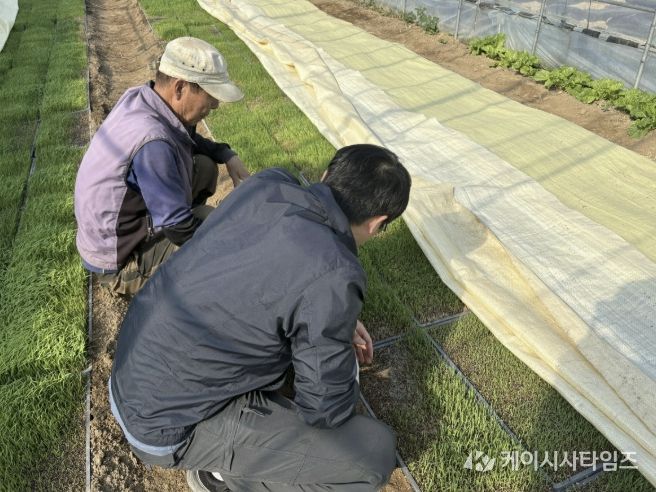 포천시농업기술센터, 벼 발아율 저하 대비 안전육묘 현장기술지원 강화