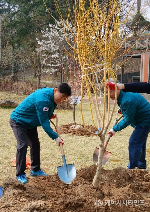 식목일 맞아 도내 기관 곳곳 나무심기