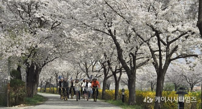 상주시청 공직자들, 자전거 출퇴근으로 에너지 절약 실천