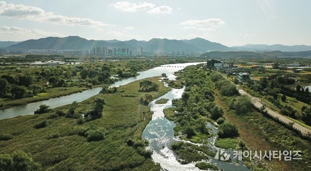 대구 동구청은 기후위기를 살아갈 미래 세대를 위해 안심습지에서 탄소중립 생태체험 학습을 운영한다. 안심습지 전경사진