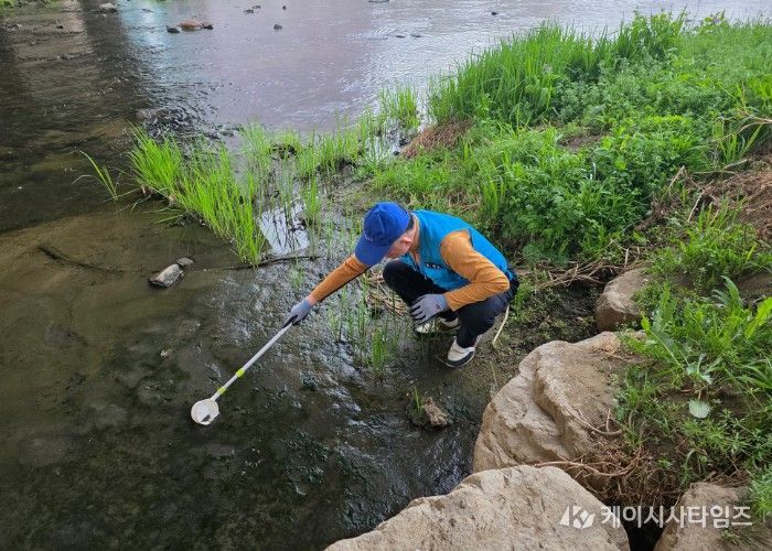 모기와 깔따구가 주로 서식하는 하천변을 중심으로 유충 밀도 조사를 하고 있다.