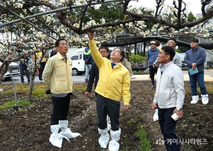 강상구 나주시장 권한대행(가운데)이 지난 6일 우박 피해를 본 노안면의 배 농가를 방문해 피해 상황을 확인하고 농민들의 애로를 청취했다.(사진 제공-나주시)