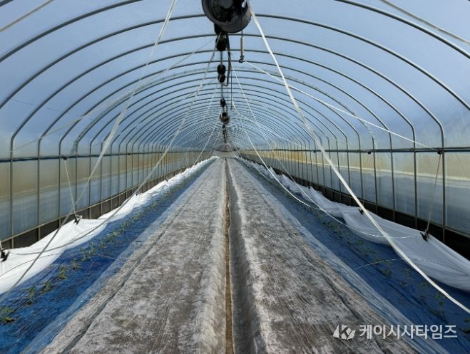 소형 자동화 개폐기 도입으로 수박 재배 노동력 90% 절감