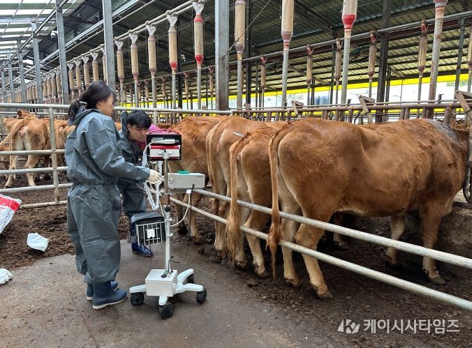 한우 개량지원사업 전국 평가 1위