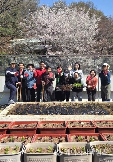 광명시 광명5동 지역사회보장협의체는 지난 8일 ‘너부대 옥상 텃밭’에서 위원과 동 직원 10여 명이 참여한 가운데 상추와 고추 모종을 심었다.