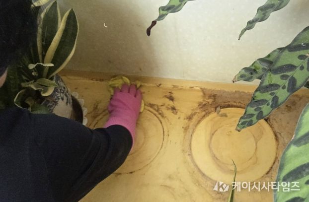 홍성군 결성면 생활지원사들, 홀몸 어르신에 따뜻한 봄 선물