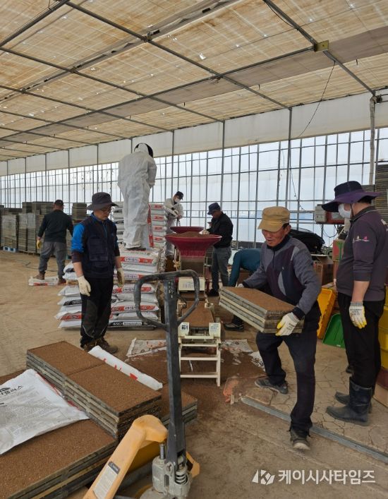 강릉시, 본격 벼 육묘작업 추진